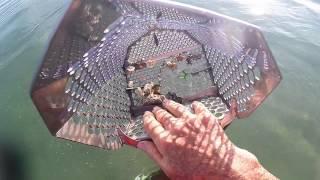 Beach Hunting in Puerto Rico