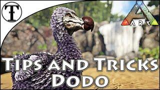 Fast Dodo Taming Guide :: Ark : Survival Evolved Tips and Tricks (April Fools 2021)