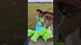 Furry Tiktok Compilation #1 | • Furrys And Therian Tiktok! •