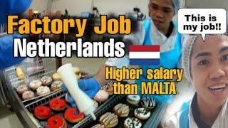 FACTORY JOBS IN NETHERLANDS FOR EVERYONE | Higher salary offer than MALTA | THIS IS MY WORK HERE