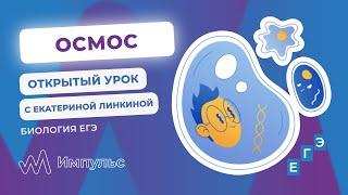 ОСМОС | Биология. ЕГЭ 2022