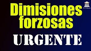Dimisiones políticas  de primer nivel | El Tribuno de Rafa Fernández