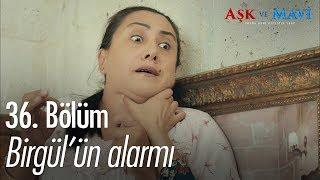 Birgül'ün alarmı - Aşk ve Mavi 36. Bölüm