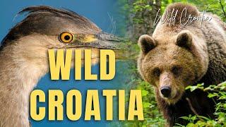 Wild Croatia - documentary