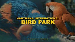 Hanthana International Bird Park | CINEMATIC TRAVELS