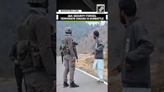 J&K: Encounter underway in Bandipora’s Nagmarg by security forces to nab terrorists