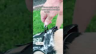 Pet Vest for Walks This Summer #petvest #dog #pet #bestfriend