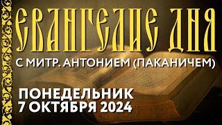 Толкование Евангелия с митр. Антонием (Паканичем). Понедельник, 7 октября 2024 года.