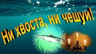 Ни хвоста, ни чешуи! Ловля рипуса на Тургояке.