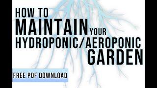 How To Maintain Your Hydroponic Or Aeroponic Garden | PRO TIPS FROM SEED TO HARVEST