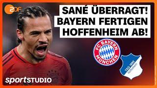 FC Bayern München – TSG Hoffenheim | Bundesliga, 17. Spieltag Saison 2024/25 | sportstudio