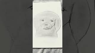 #art #vsketch  cute dog  #drawing