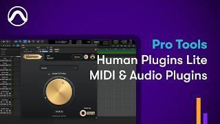 How to Use Mixed In Key Human Lite Plugin in Pro Tools