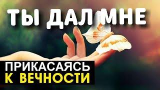 Ты дал мне - Прикасаясь к вечности - Пётр Бальжик