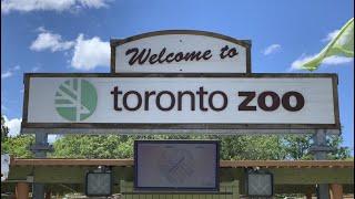 A Walk Through the Toronto Zoo