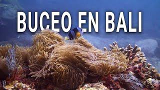 Espectaculares buceos en Bali #buceo #scubadiving #bali