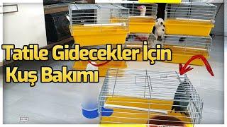 TATİLE GİDERKEN KUŞLAR İÇİN YAPILACAKLAR 