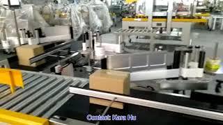 carton box  multi sides surface labelling machine from Wilpac Packaging