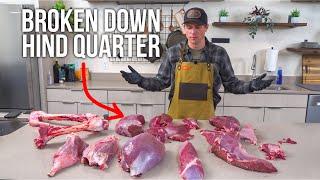 Elk Hind Quarter Masterclass: From Butchering to Delicious Meals