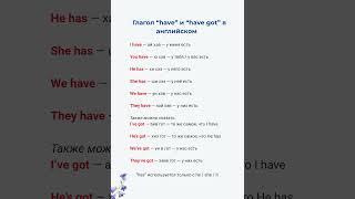 Глагол “have” и “have got” в английском | Уровень A1