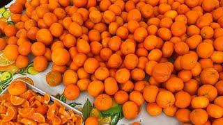 How I Stay 100% Raw Vegan For 15 Years Now | The Marin Farmers Market In San Francisco 🩷