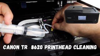 Canon Tr 8620  - Printhead Cleaning - Not Printing Black Or Color