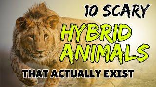 10 Scary Hybrid Animals that Actually Exist | Jungle Flicks