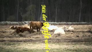 Auserwählte Zitate von Hermann Hesse + Fotos der Uckermark / Schwedt / Nationalpark Unteres Odertal