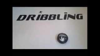 Хоккейный тренажер Dribbling.pro