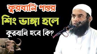 পশুর শিং ভাঙ্গা হলে কুরবানি হবে কি ll Bangla new waz ll mofti Motasim billah habiganj