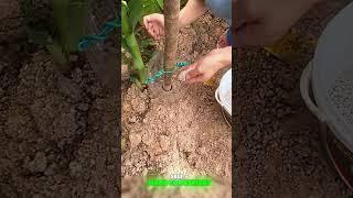 Self - made convenient fertilizing tools