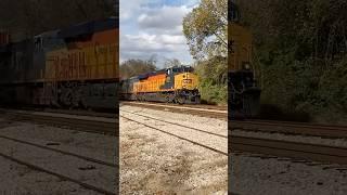 CSX #1973 Chessie System Heritage Unit