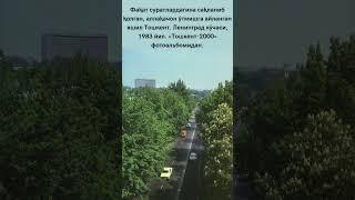 Фақат суратлардагина сақланиб қолган, аллақачон ўтмишга айланган яшил Тошкент. Ленинград кўчаси...