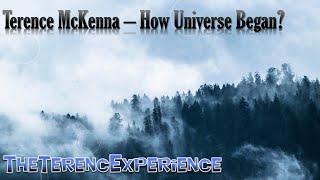 Terence McKenna – How Universe Began?