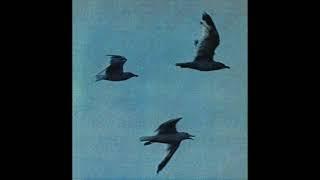 [Free] Daniel Caesar x Omar Apollo Type Beat - "Fly Away"