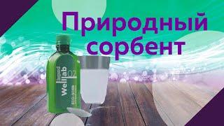 Welllab liquid eco sorb новинка от Greenway