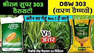 Shriram Super 303 Vs DBW 303 Karan Vaishnavi | दोनों में से कोन बेस्ट हैं | gehu ki variety