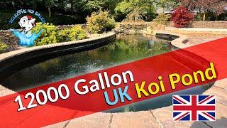 Superb 12000 Gallon Koi Pond *UK*