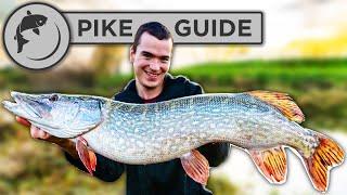 A Beginners Guide To Pike Fishing - Tactics, Bait, Lures, Rigs, and Unhooking