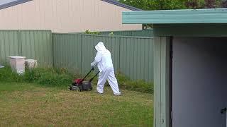 Teletubbie mowing my lawn!