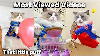 May Most Viewed Videos | That Little Puff