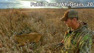 Perfect Shot On A Cruising Buck!!! - Public Land Whitetails