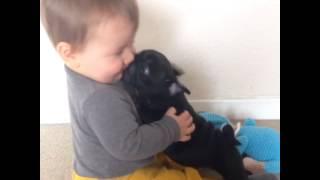 Baby Louie getting kisses from puppy