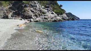 Plage ️ du Mont Salva - Six-Fours-les-Plages