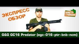 Обзор автомата G&G GC16 Predator (egc-016-ptr-bnb-ncm)