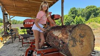 These logs MAKE lots of LUMBER!!! (Can you GUESS how many BOARDS?!)