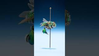 Inside An Orchid Bee's Giant Legs