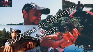 ЛУЧШИЕ ВОБЛЕРЫ ДЛЯ РЕКИ #1 ЩУКА,ОКУНЬ,ЖЕРЕХ,ГОЛАВЛЬ,ЯЗЬ!