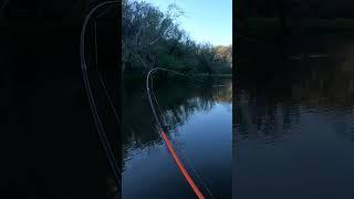I hooked a monster fish (Watauga River)