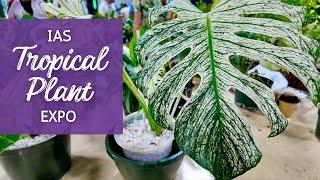 You Won't Believe the Plants I Found at the 2024 International Aroid Society Tropical Plant Expo!